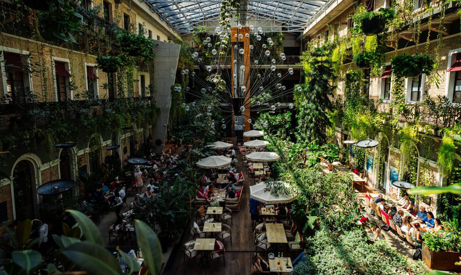 Budapest-cafes, food and places that made me fall in love with the city cover photo collage