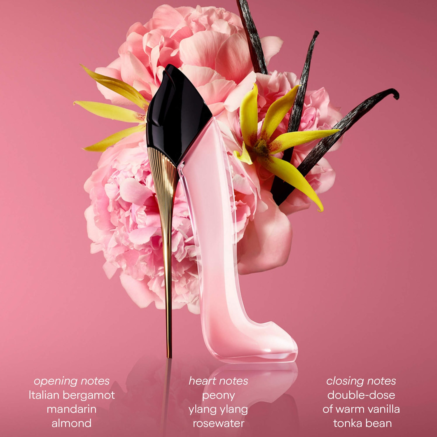 Best Perfumes to Turn Heads! cover photo collage