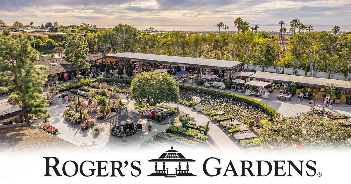 Create your dream Cottage Garden with a visit to these Orange County Nurseries cover photo collage