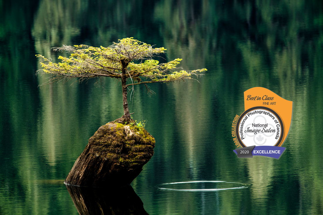 Coastal Destinations | Vancouver Island cover photo collage