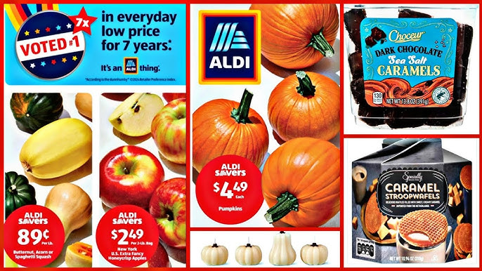 Aldi items we love in this home! cover photo collage