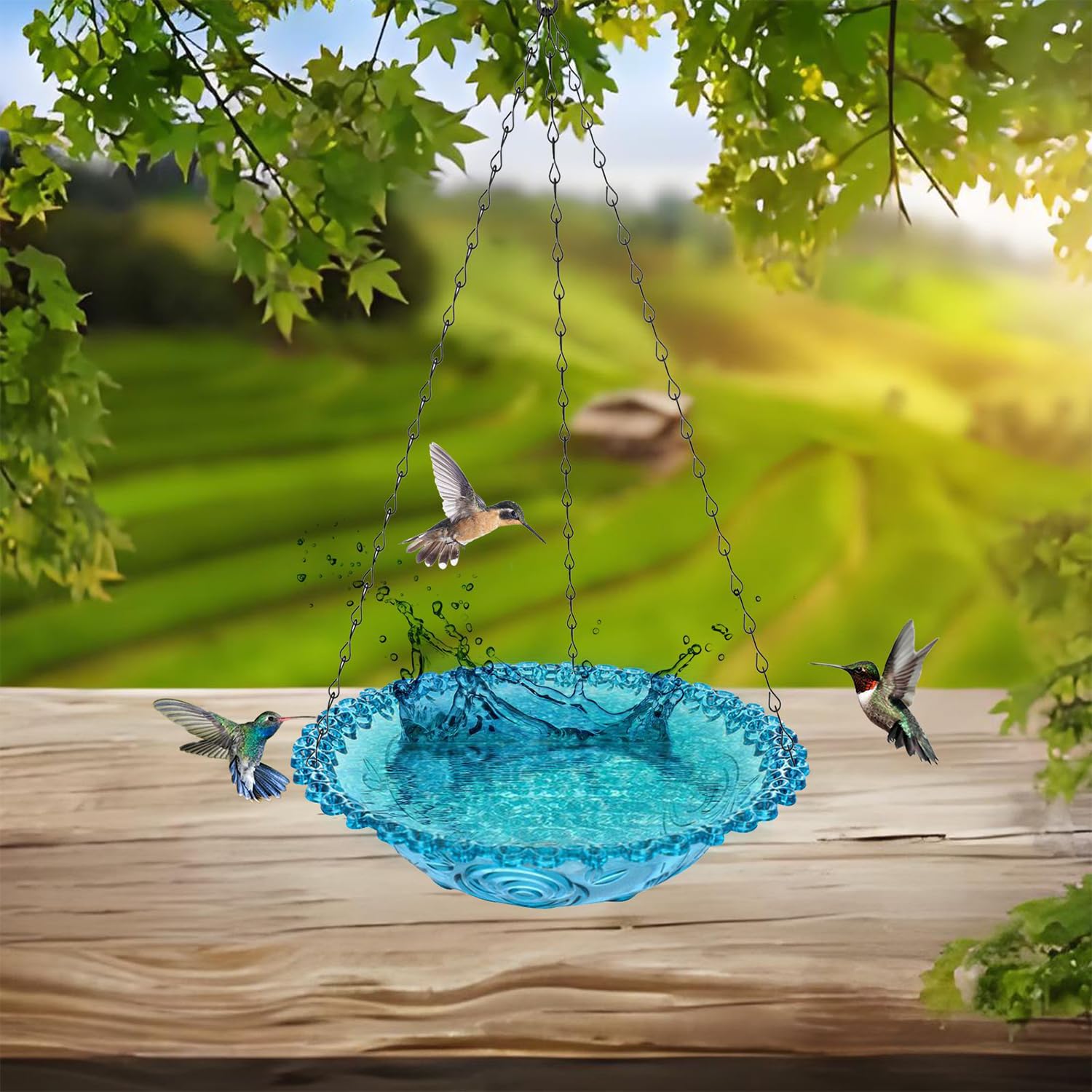 Bird Watching in Your Garden cover photo collage