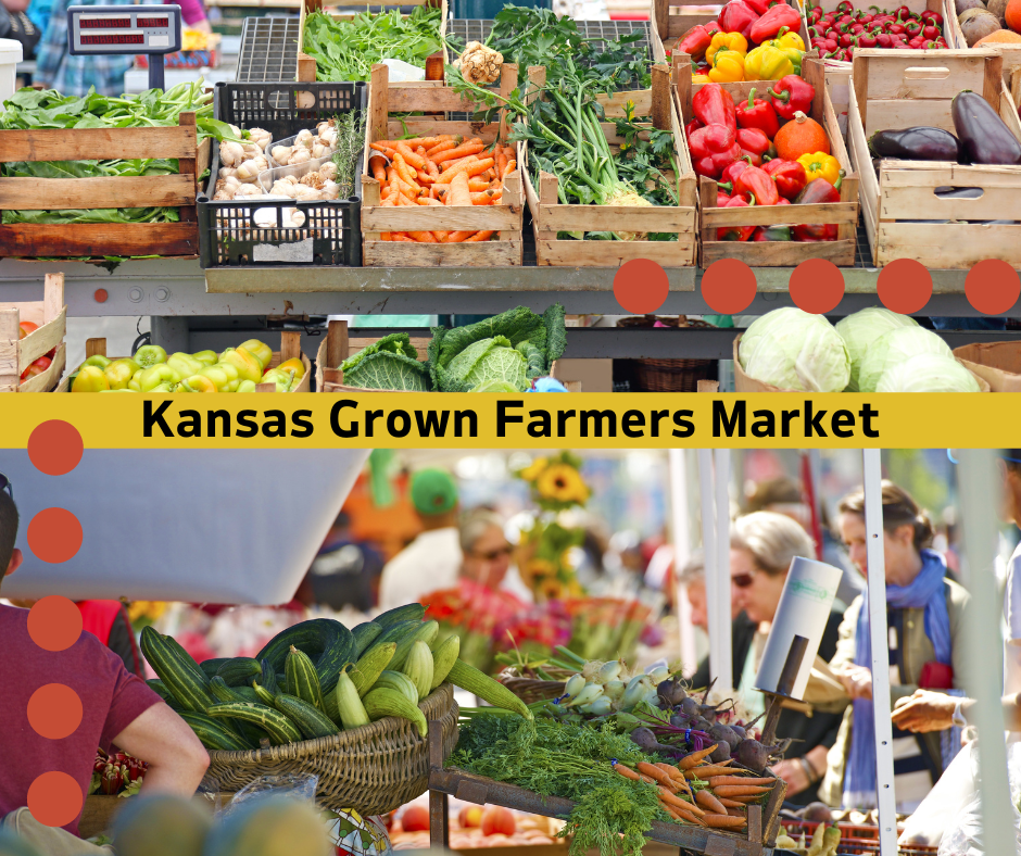 Things to do & Places to see in Wichita, KS cover photo collage