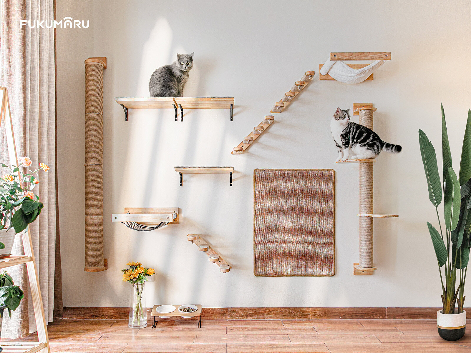 giving my cats their best little life cover photo collage