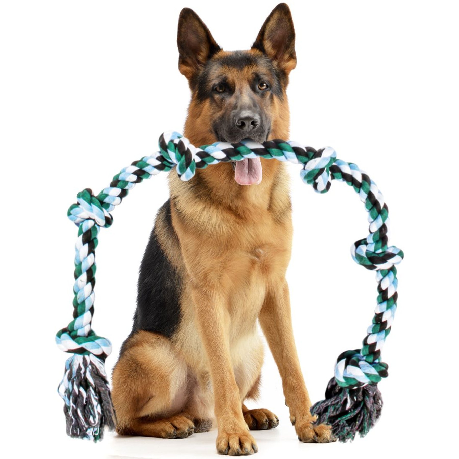 Best Toys For Big Dogs cover photo collage