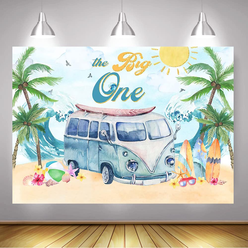 The Big One 1st Birthday Party cover photo collage