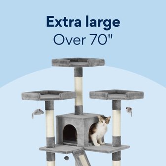 New Kitten Starter Kit: My Essentials cover photo collage