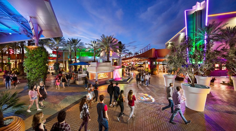 What to see, do and explore!
A little bit of everything! cover photo collage