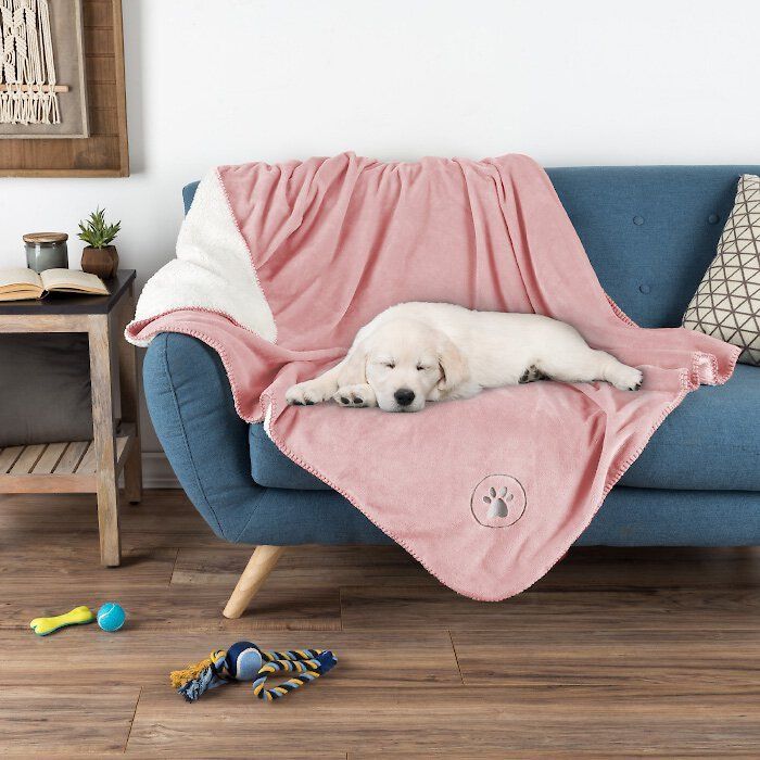 Dog Mom Life cover photo collage