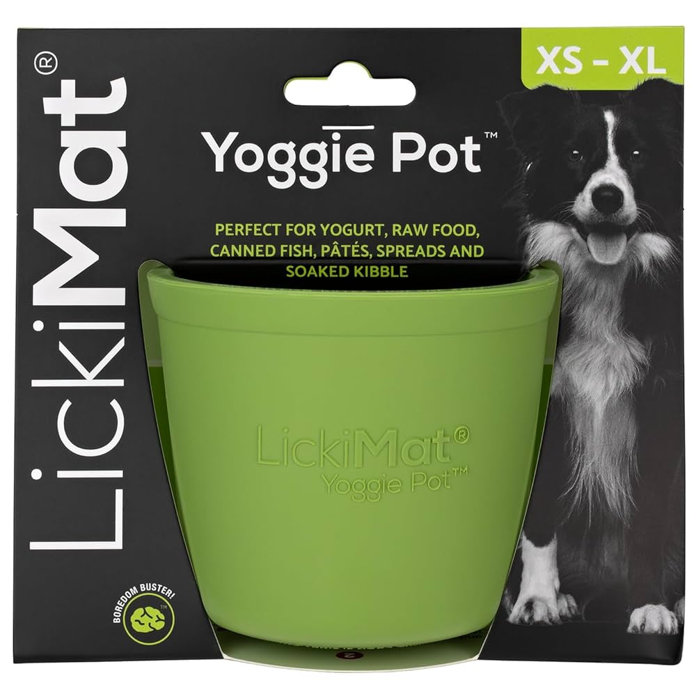 Enrichment Products Your Dog Will Love cover photo collage