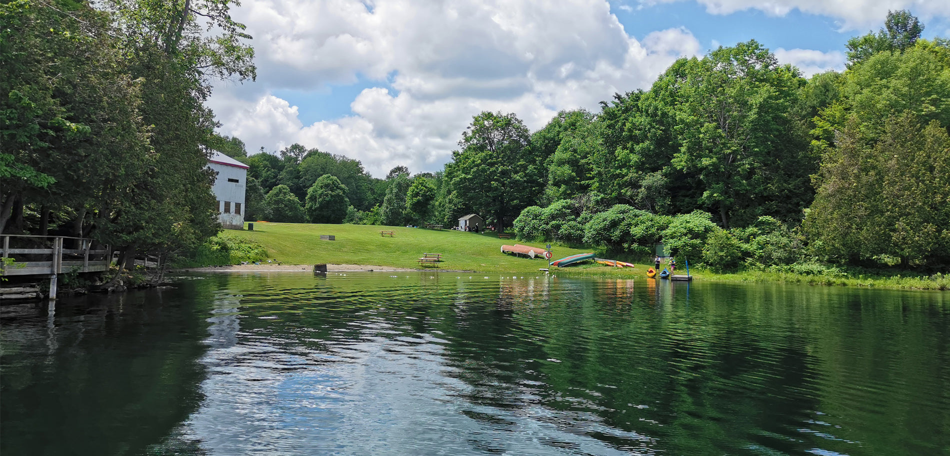 Fitness, nutrition, mindfulness, health, and fun! Don’t forget your dog 🐶! cover photo collage