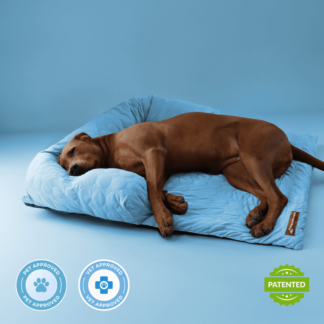 Animal & Critter comforts cover photo collage