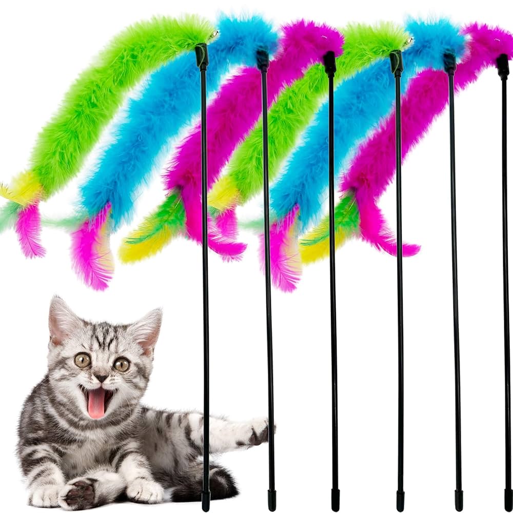 For your feline💕 cover photo collage