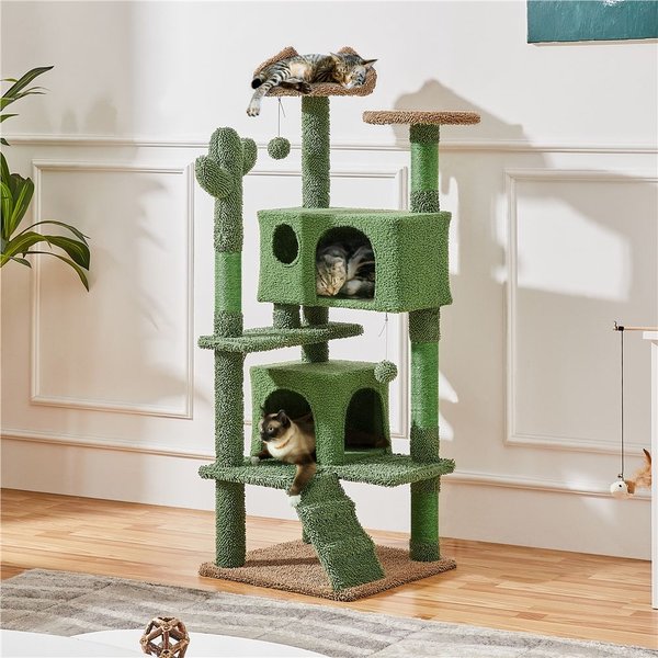must haves for your little furry best feline friend cover photo collage