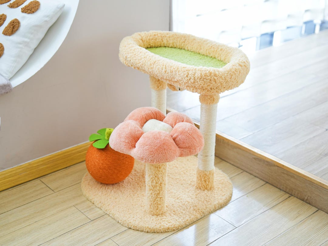 Cat items with personality 🐈🐈‍⬛ cover photo collage