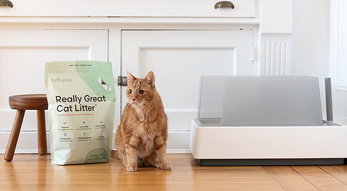 Cat Mom Essentials! cover photo collage
