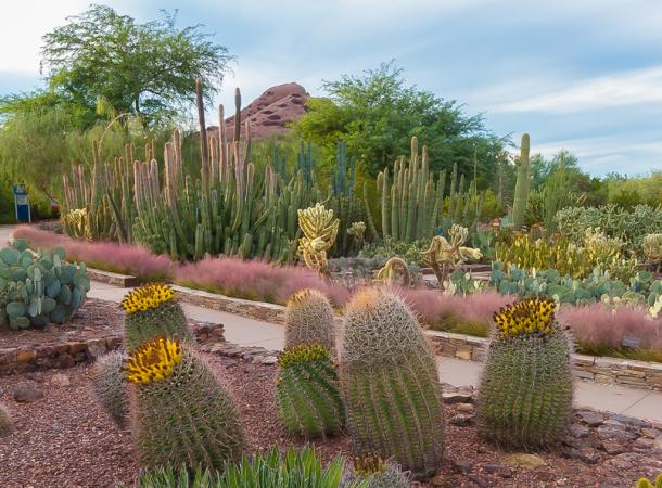 My Must Visit Spots in Arizona cover photo collage
