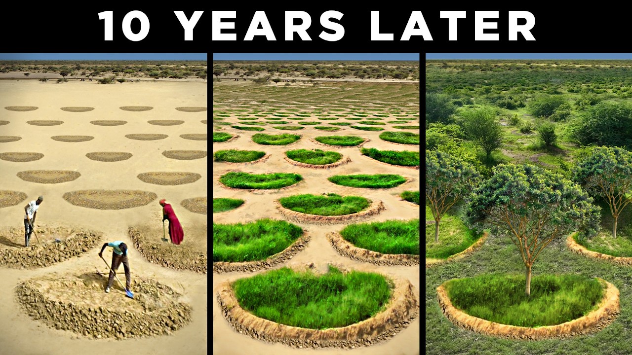 Positive, Encouraging News Stories cover photo collage