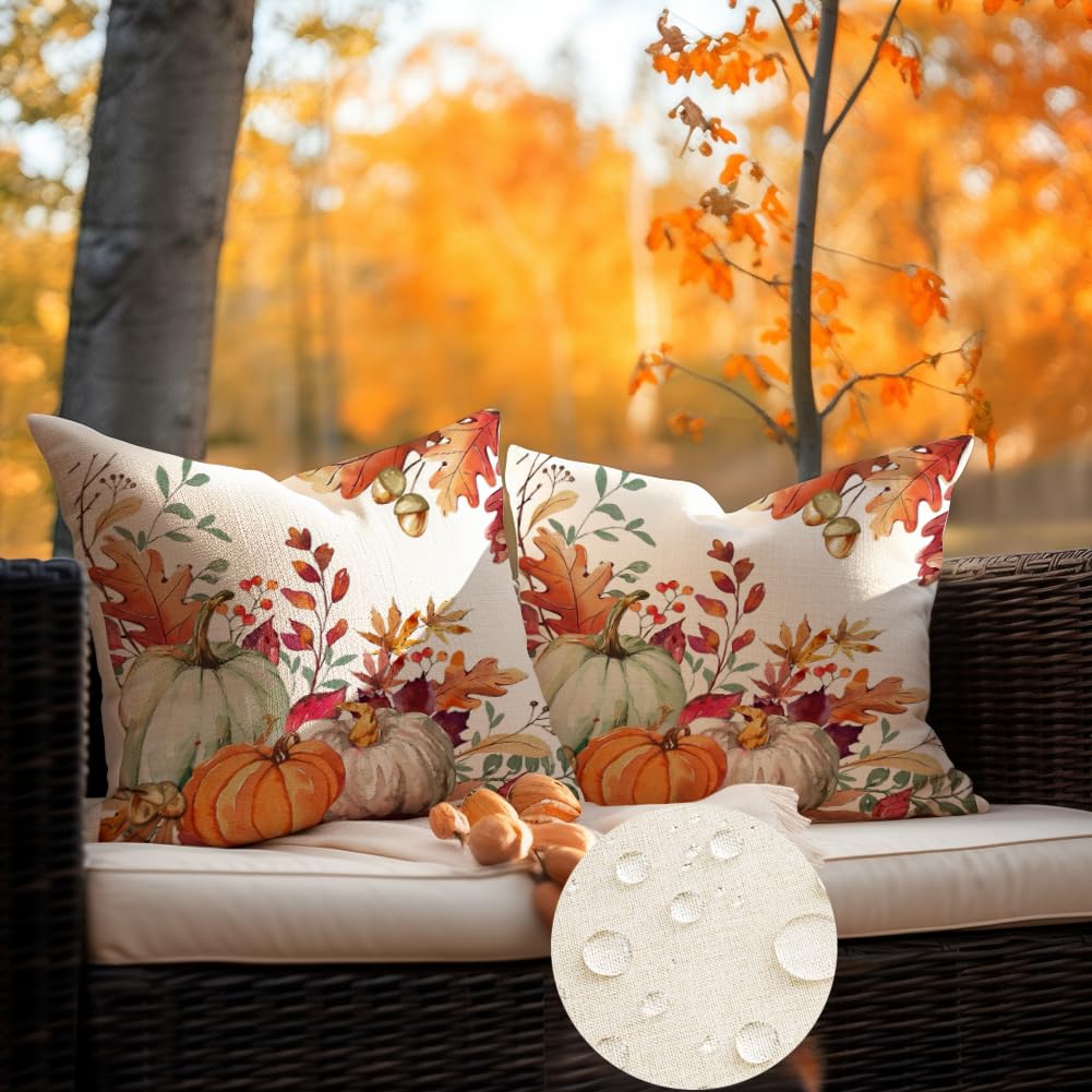 Fall's coming Yall! cover photo collage