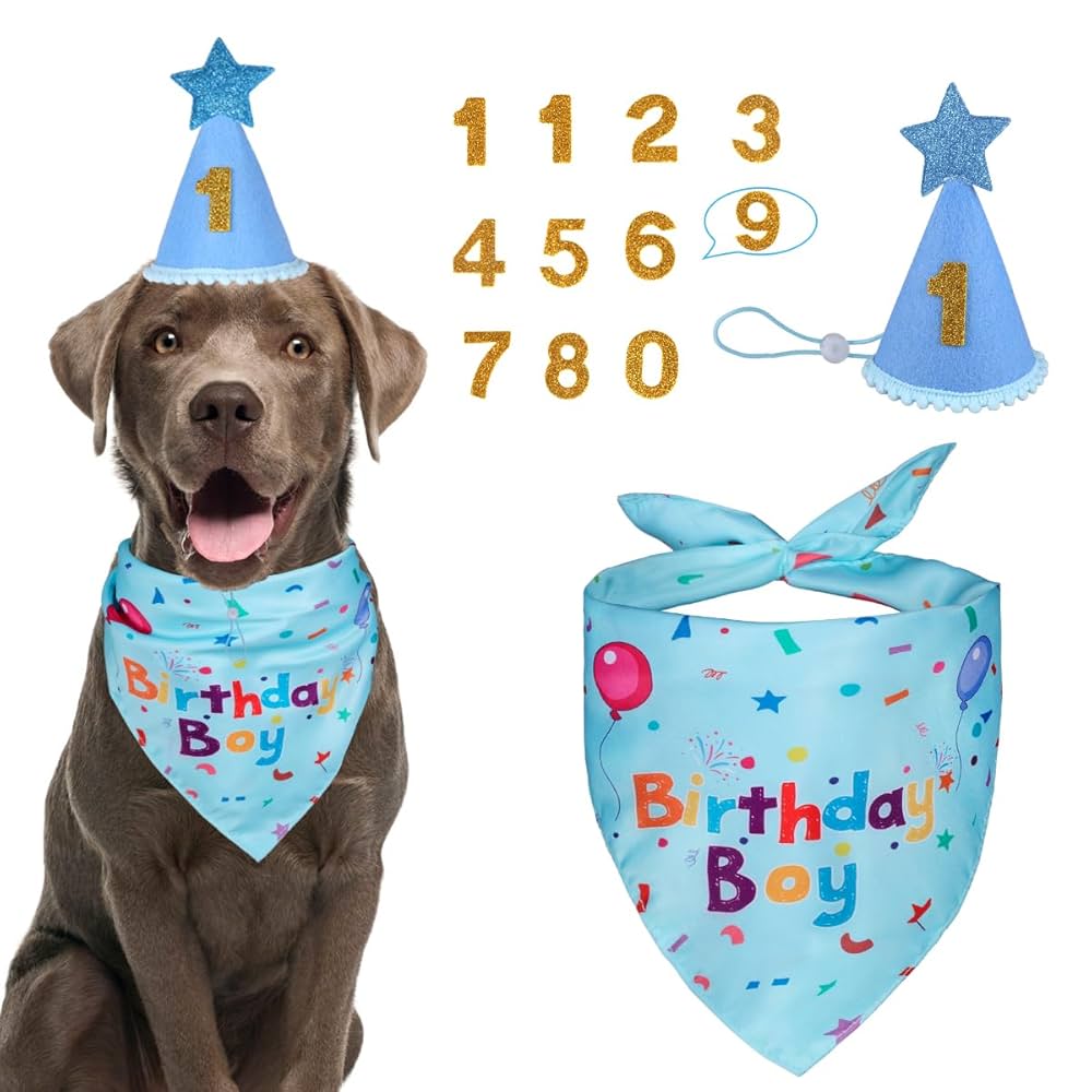 Everything Dogs | Spoil the Pups 🐶 | Keep Them Safe 🦴 cover photo collage