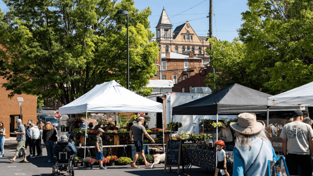 Places to Show your friends in Staunton, VA! cover photo collage