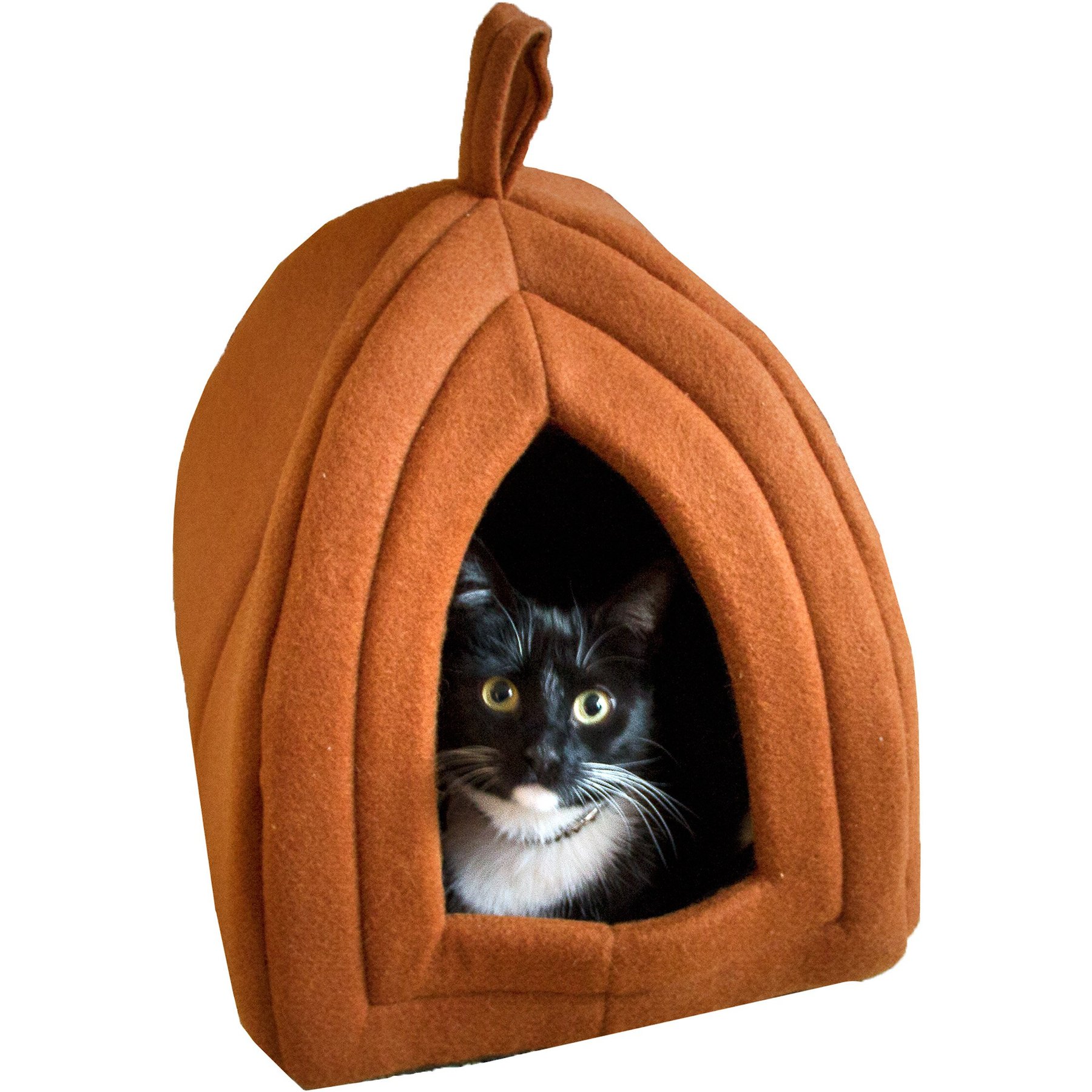 🐈‍⬛ cat must-haves cover photo collage