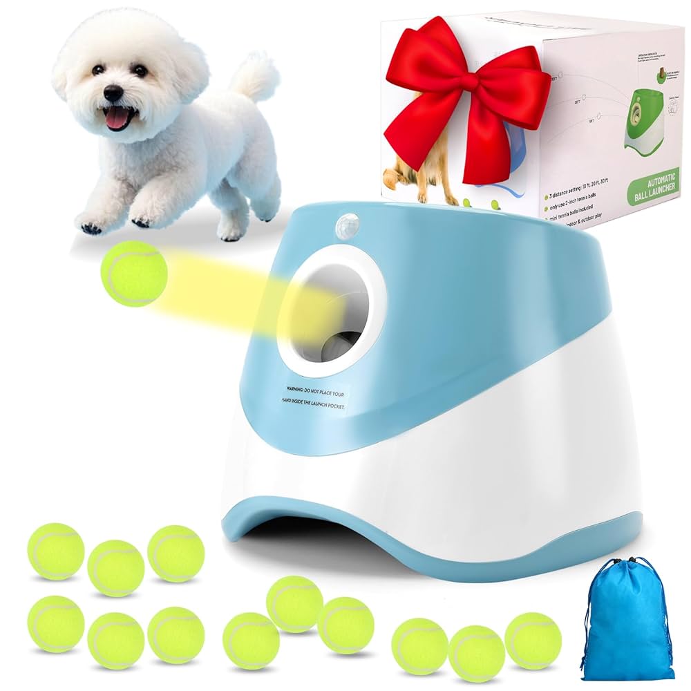 Dog products for when your fur besties miss you while you're not home cover photo collage