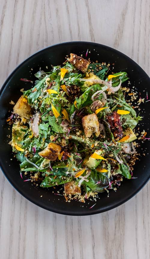 The Best of the Best: Top Salads in Portland cover photo collage