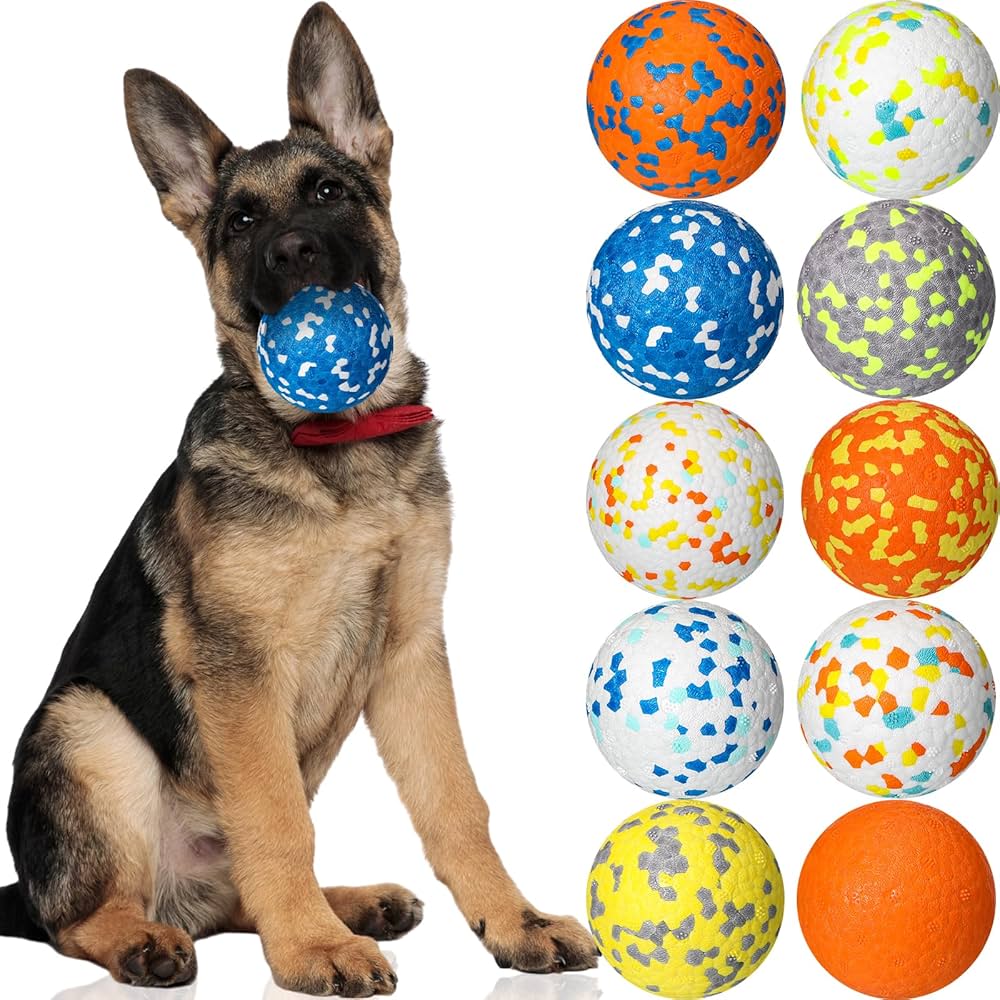 Dog Stuff cover photo collage