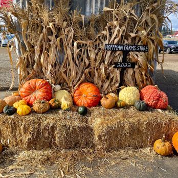 Things to do near Portland, OR in Autumn 🍁 cover photo collage