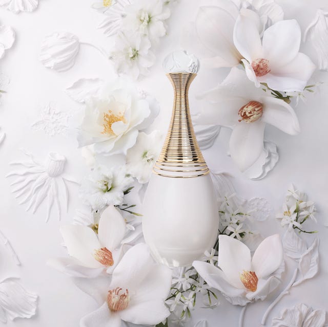 Smell Like the Hottest Person in the Room cover photo collage