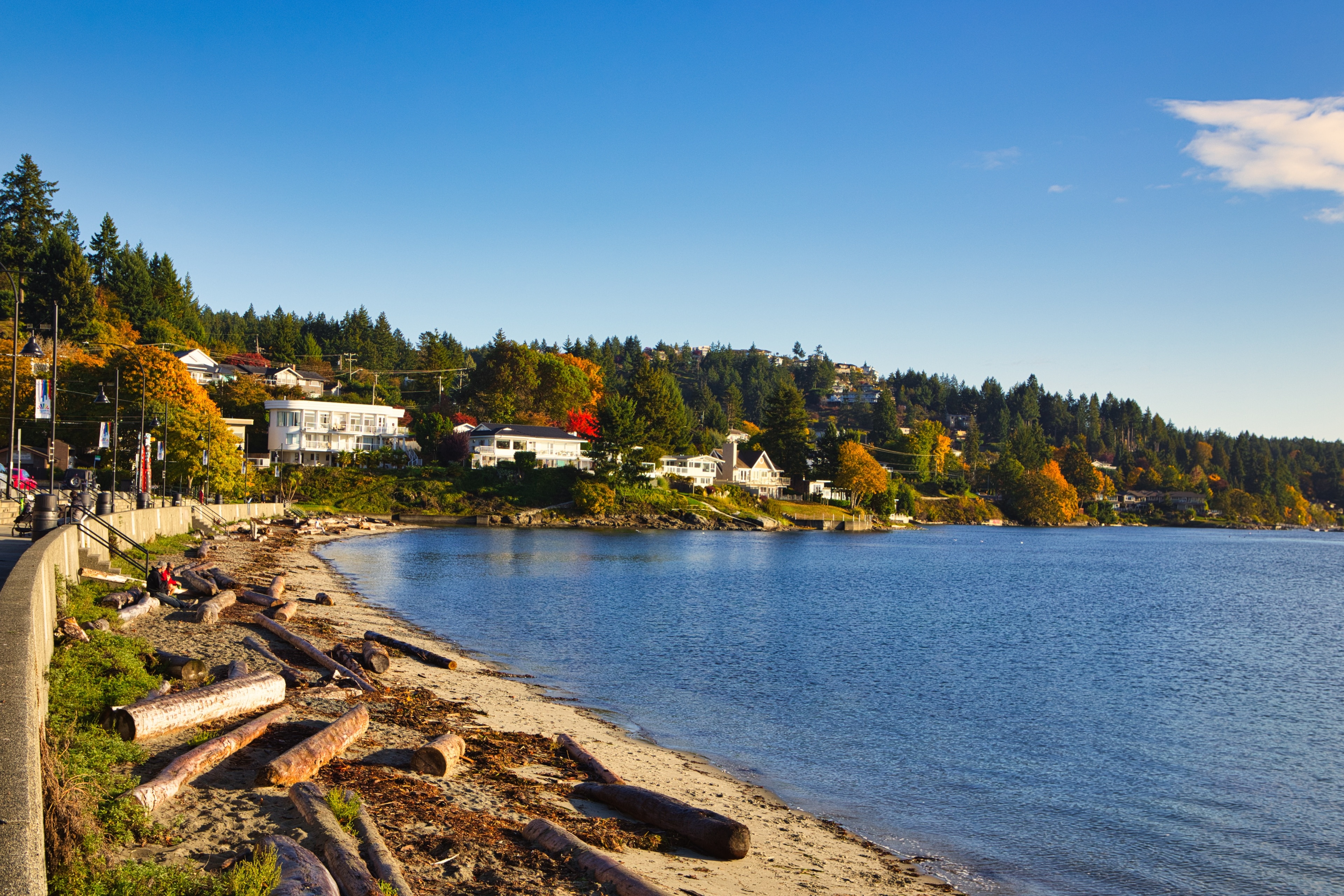 Cozy Corners & Local Stops in Nanaimo cover photo collage