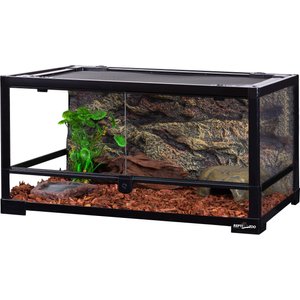 Home Sweet Toad: Enclosure Must-Haves 𓆏 cover photo collage