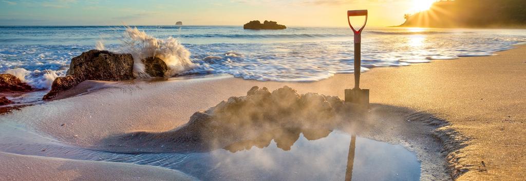 𝘕𝘰𝘳𝘵𝘩 𝘐𝘴𝘭𝘢𝘯𝘥 𝘍𝘢𝘷𝘦𝘴:
The Coromandel, NZ cover photo collage