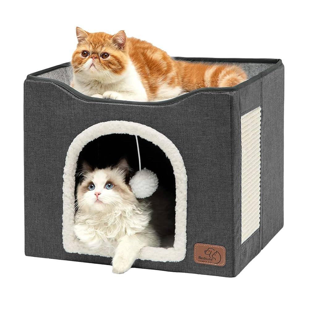 kitty favorites 🐈 cover photo collage