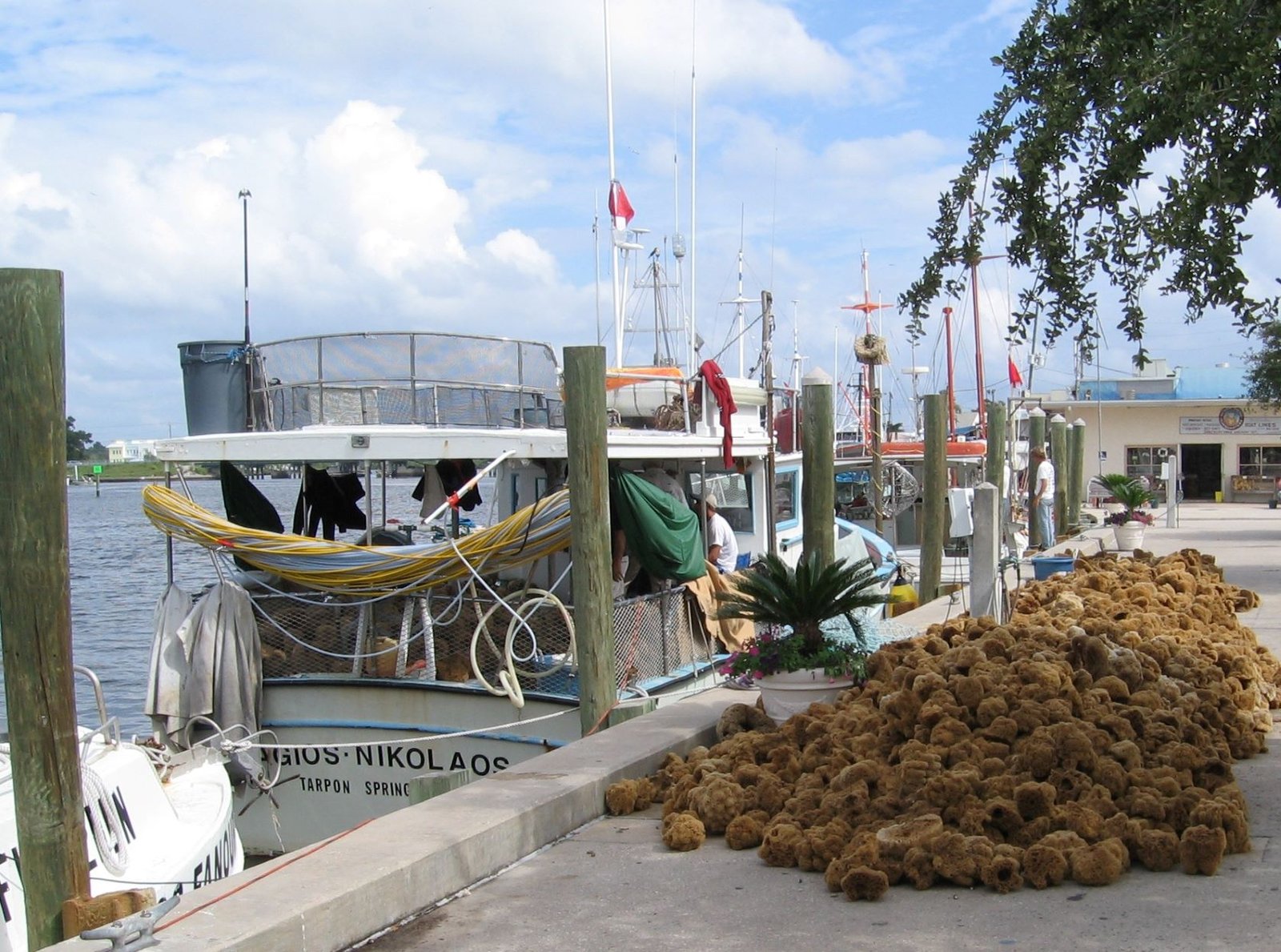 Visiting Tarpon Springs, Florida cover photo collage