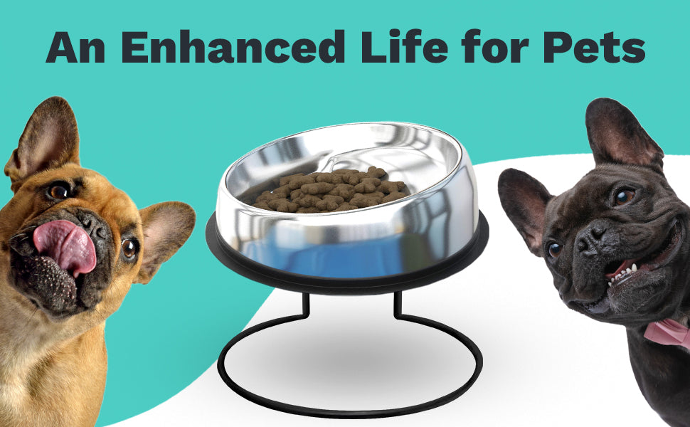 For Your Frenchie Bestie cover photo collage