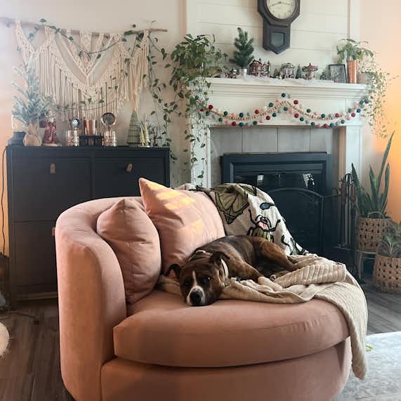 Living Room Additions That Turned Me Into A Homebody cover photo collage