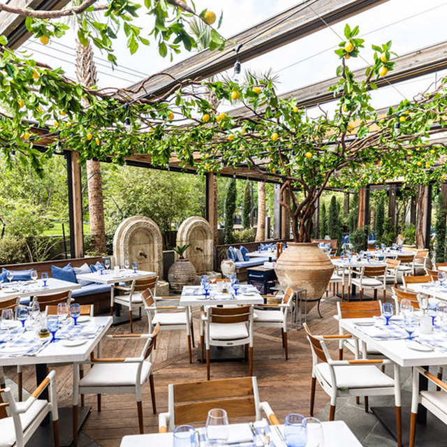 my favorite dallas eats🍕🍽️ cover photo collage