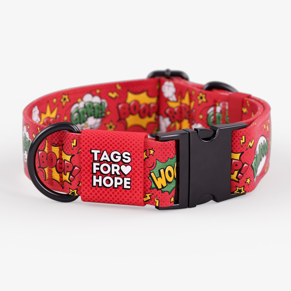 Must Haves for A New Dog Parent cover photo collage