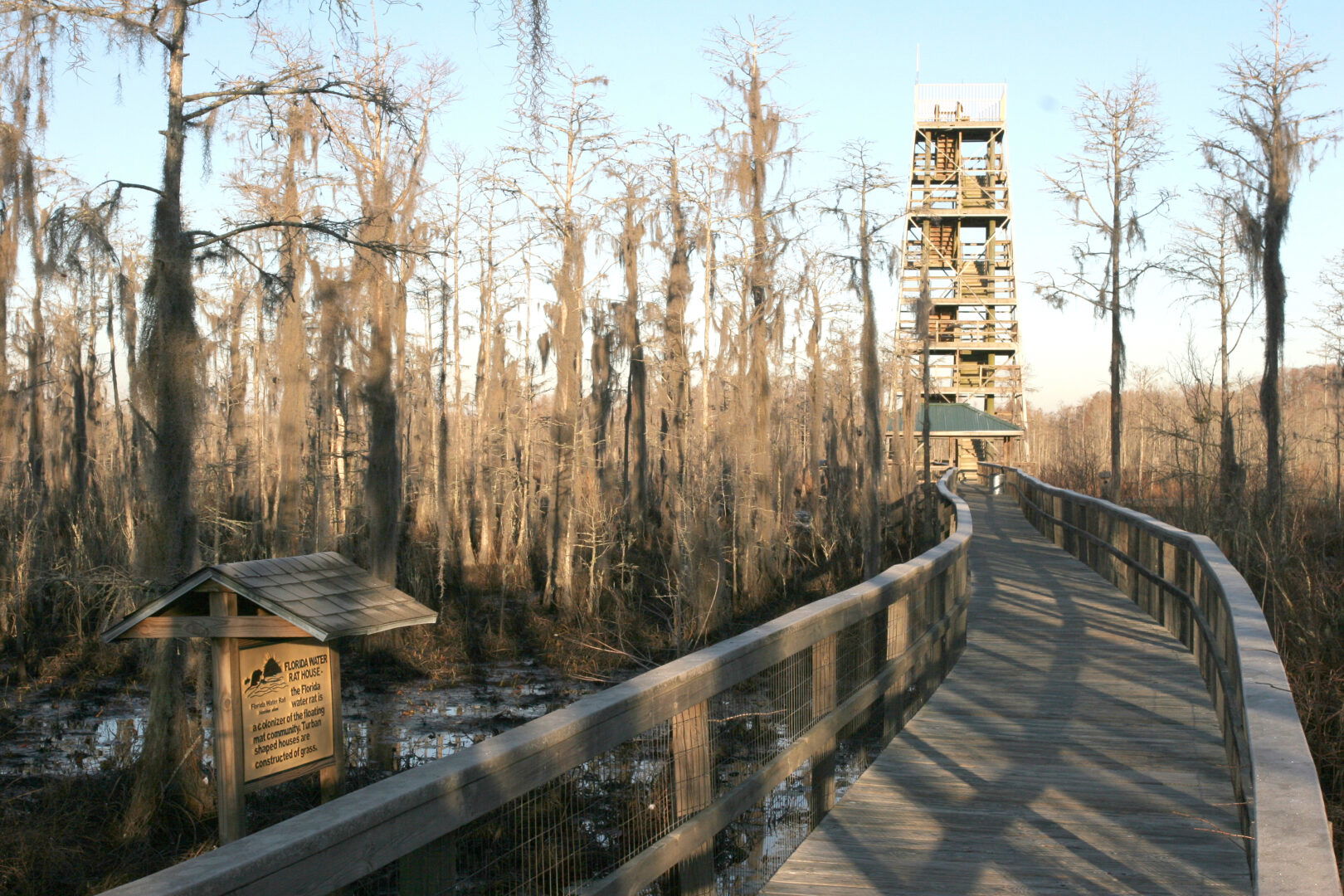 Things to Do in Valdosta, GA with Kids - Benable