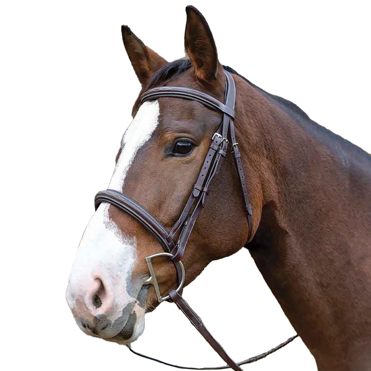 What’s in My Tack Room cover photo collage