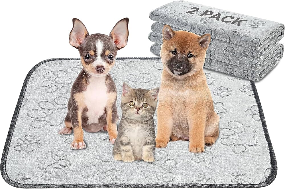 My Fav Items for a Small Furry Friend🐶 cover photo collage