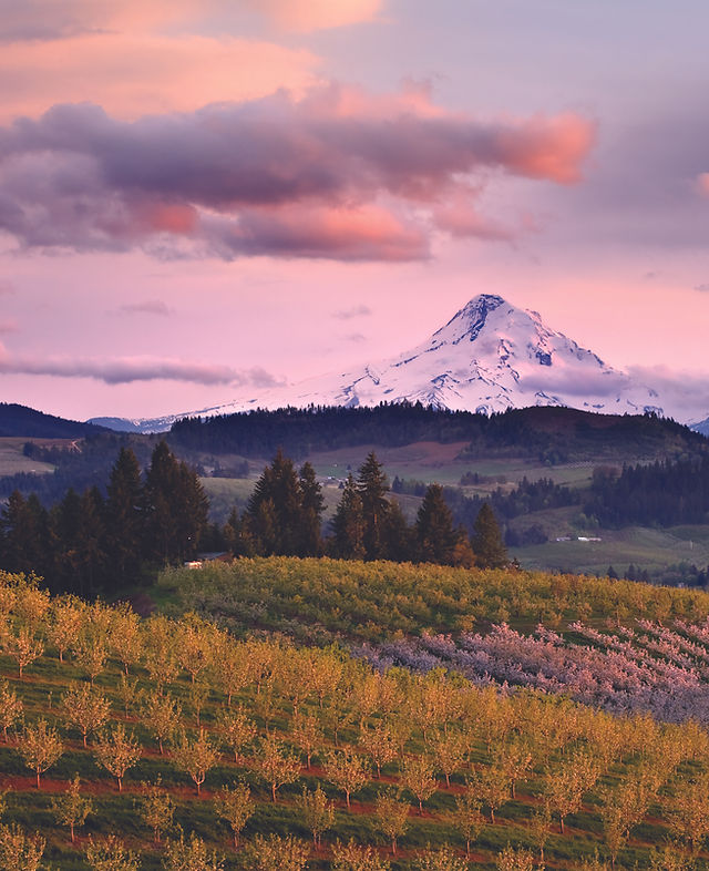 My Underrated Portland Visitor Guide 🏔️ cover photo collage