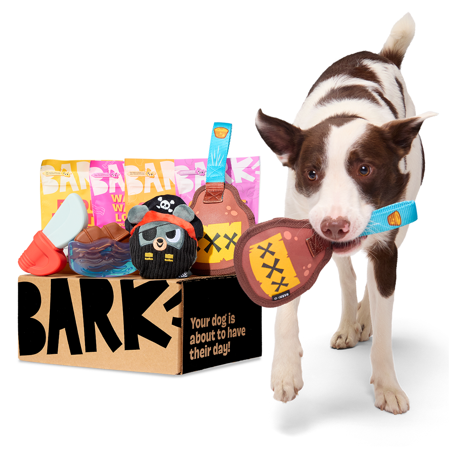 Puppy must-haves! cover photo collage