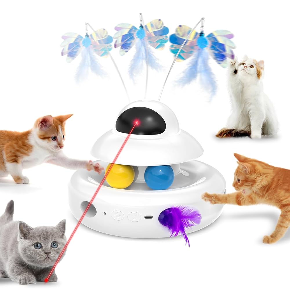 Kitty lovers 😽 cover photo collage
