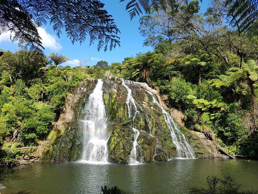𝘕𝘰𝘳𝘵𝘩 𝘐𝘴𝘭𝘢𝘯𝘥 𝘍𝘢𝘷𝘦𝘴:
The Coromandel, NZ cover photo collage