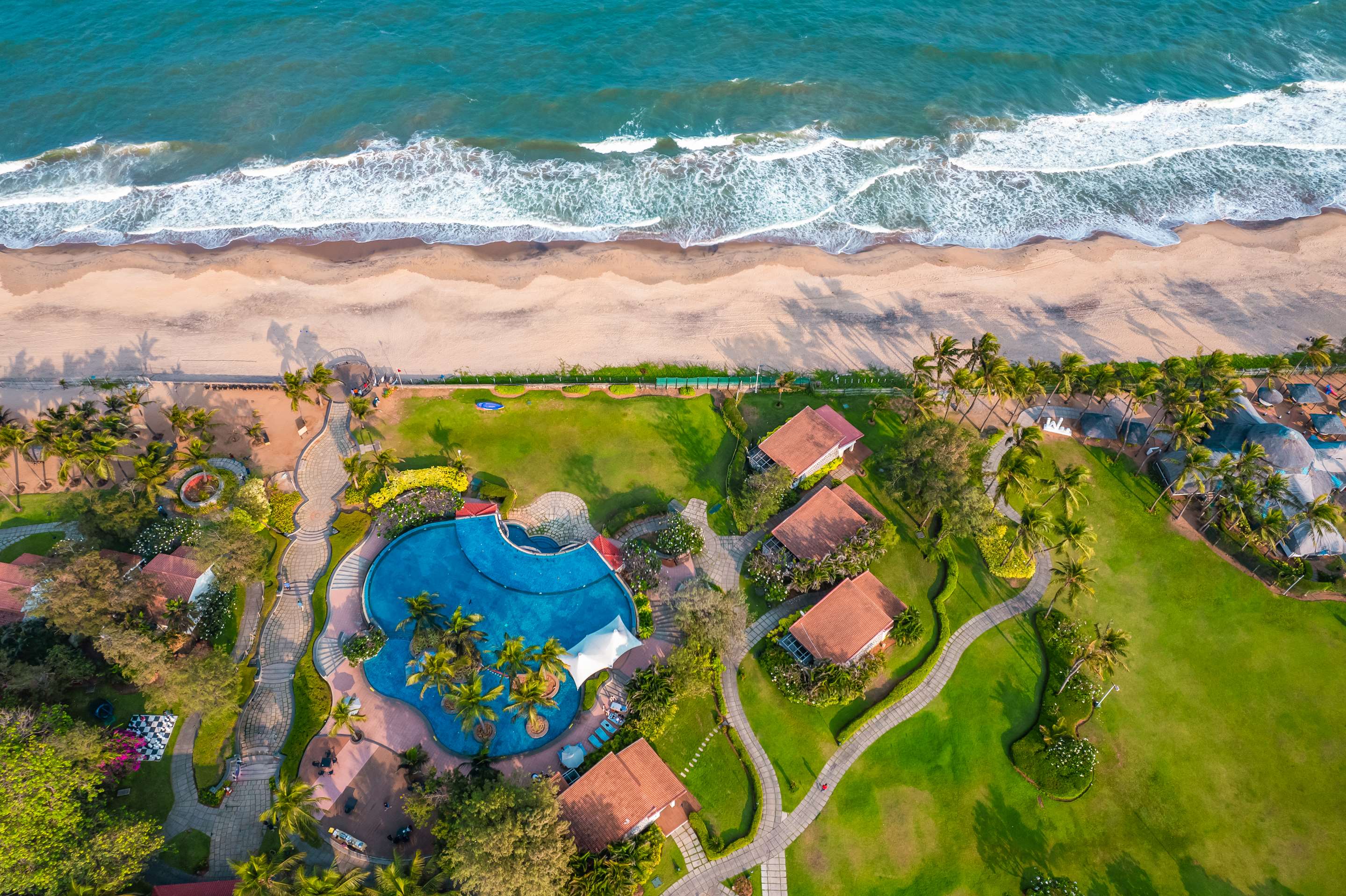 Doggie dates : Everything you can do with your dog in Chennai cover photo collage