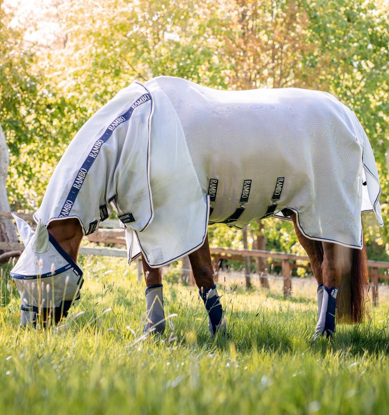 Barn-Tested, Rider-Approved cover photo collage