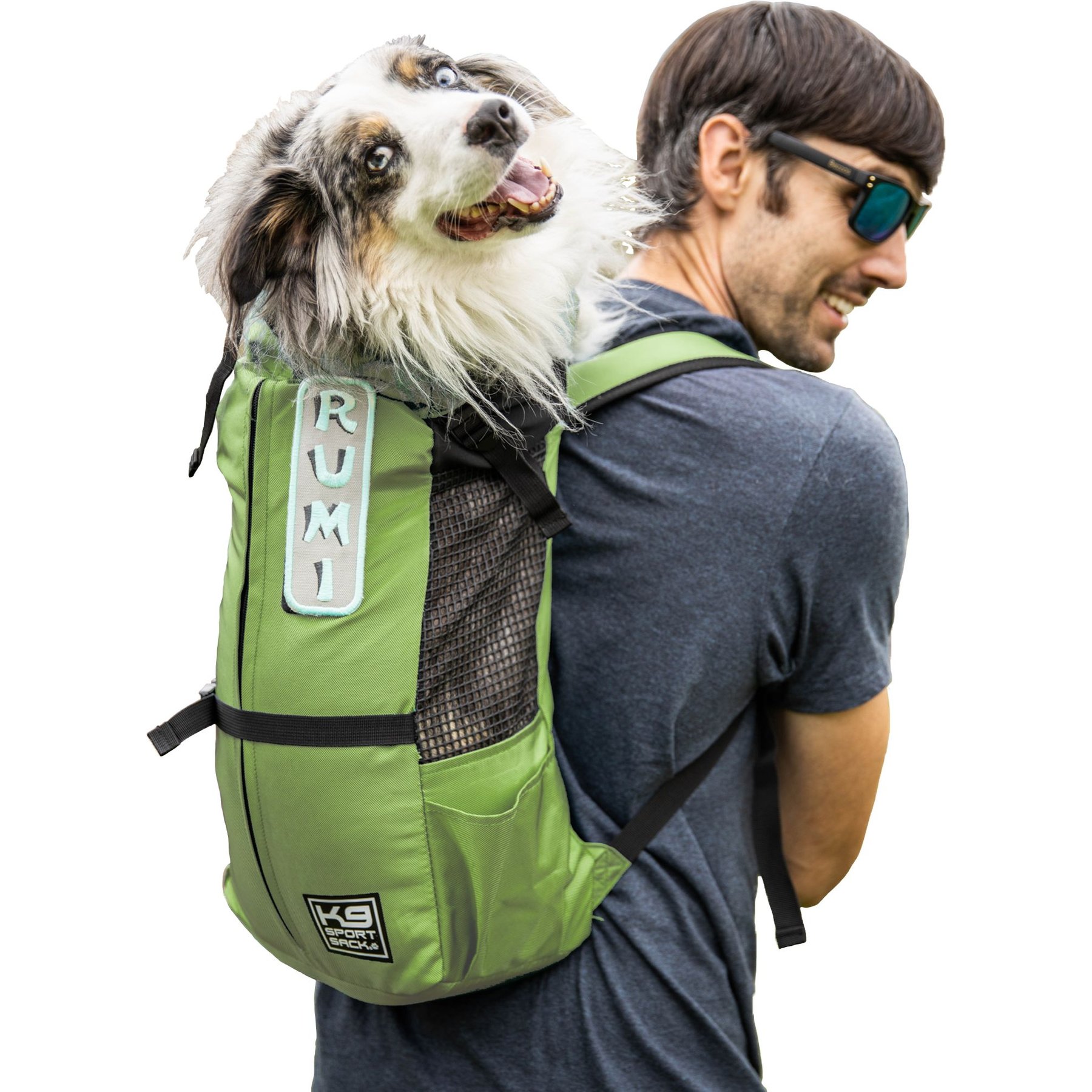 Must haves for every dog parent/dog walker/dog sitter cover photo collage